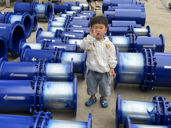 程翔法蘭式套筒補(bǔ)償器